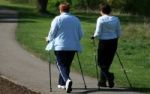 Nordic Walking - Ausdauersport mit Ganzkrpertraining