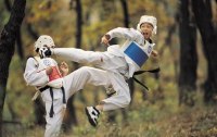 Koreanische Kampfkunst - Von Hapkido bis Taekwondo