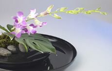 Ikebana - die Faszination der Blumen
