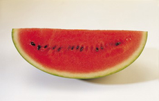 Wassermelone  - Durstlöscher Nr. 1