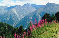 Aktivurlaub in den Alpen - Sportarten, die keine Zeit fr Langeweile erlauben