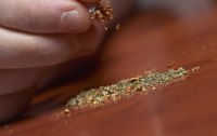 Cannabis - Facts zur umstrittenen Pflanze