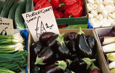 Melanzani Aubergine Eierfrucht  - Nachtschatten-Beeren mit Power