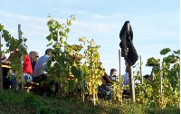 Ein Tag ist nicht genug - Weitwandern in der Steiermark