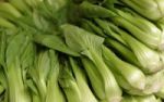 Pak Choi - asiatischer Kohl im Trend