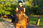 Reiten - das Pferd im Sport und in der Therapie