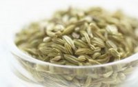 Fenchel - Die aromatische Heilpflanze 