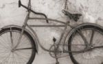 Andrea Camilleri  - Von der Liebe zum Radfahren