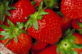Ein sinnlicher Genuss: Erdbeeren - köstlich, vitaminreich und aphrodisisch