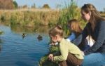 Österreich mit Kindern erleben  - was die Natur alles zu bieten hat