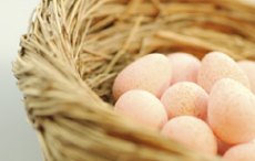 Ostereier und Qualität  - Hasen würden Bio-Eier kaufen
