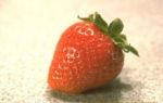 Erdbeeren - frisch gepflückt am Besten