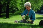 Zeckengefahr vor der eigenen Haustre - der Zeckentest fr den Hausgarten