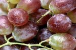Bacchus Ernte  - mit Weintrauben gesund in den Herbst starten