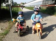 Moped Gang
